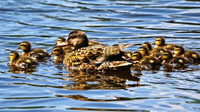 How Much Life Insurance Can I Get